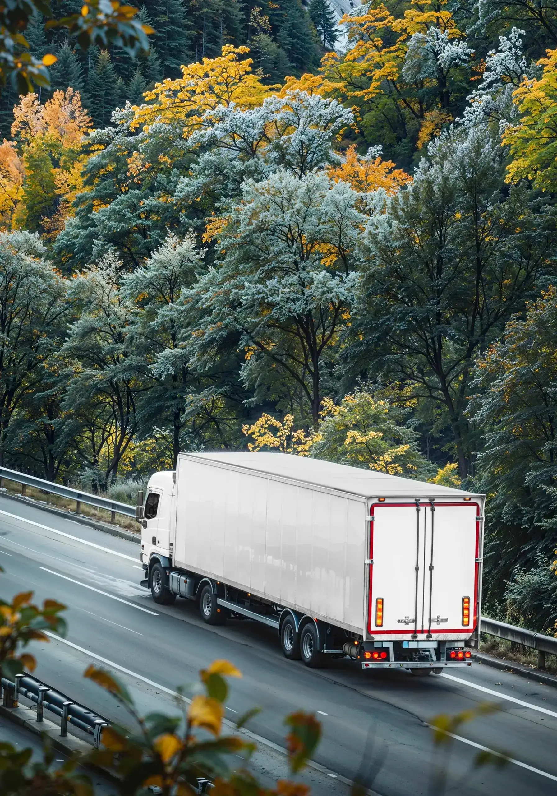 loyal-truck-drivers-for-european-freight